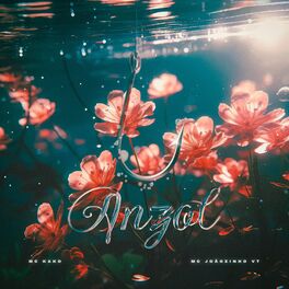 Album cover of Anzol