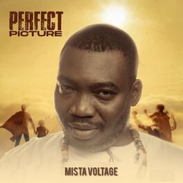 Album cover of Perfect Picture