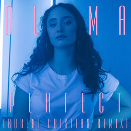 Album cover of Perfect (Robert Cristian Remix)