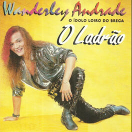 Album cover of O Ladrão