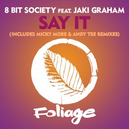Album cover of Say It (Includes Micky More & Andy Tee Remixes)