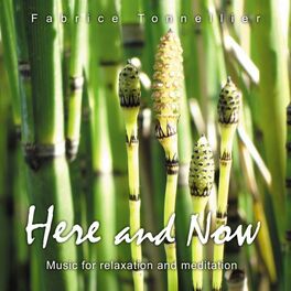Album cover of Here and Now: Music for Relaxation and Meditation