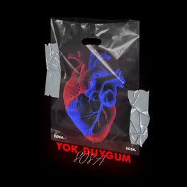 Album cover of Yok Duygum