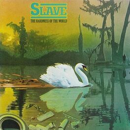 Album cover of Hardness Of The World