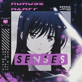 Album cover of SENSES