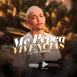 Album cover of Vivências