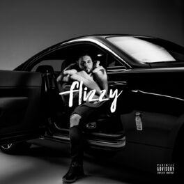 Album cover of Flizzy (Premium Edition)