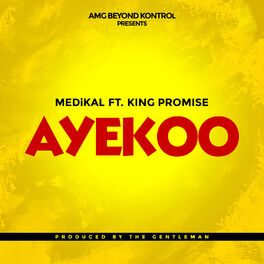 Album cover of Ayekoo