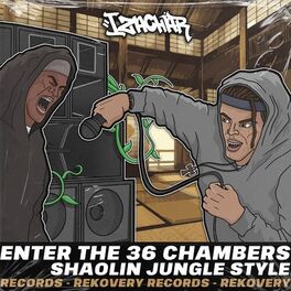 Album cover of Shaolin Jungle Style (Enter The 36 Chambers)