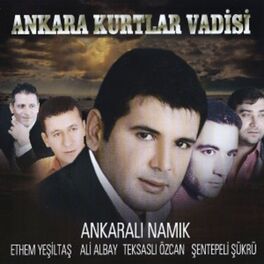 Album cover of Ankara Kurtlar Vadisi
