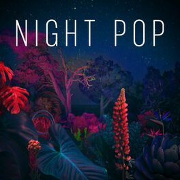Album cover of Night Pop