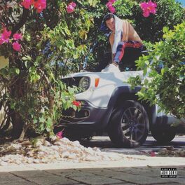 Album cover of Whole Different Breed