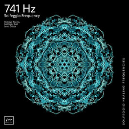 Album cover of 741 Hz Full Body Detox