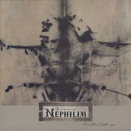 Album cover of For Her Light
