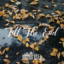 Album cover of Till the End
