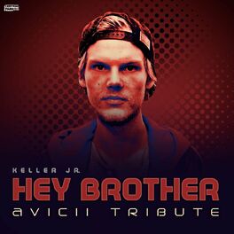 Album cover of Hey Brother (Avicii Tribute)
