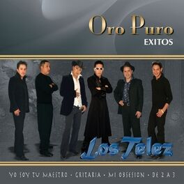 Album cover of Oro Puro: Éxitos