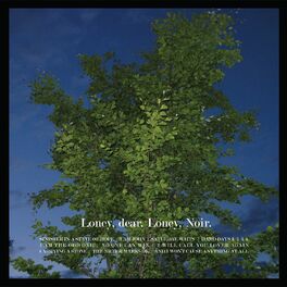 Album cover of Loney, Noir