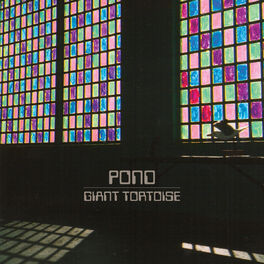 Album cover of Giant Tortoise