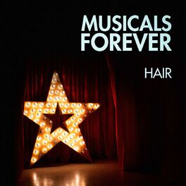 Album cover of Musicals Forever: Hair