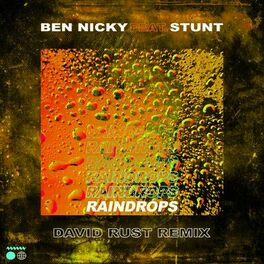 Album cover of Raindrops (David Rust Remix)