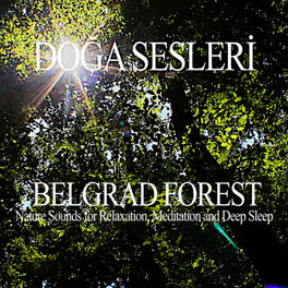 Album cover of Belgrade Forest - Nature Sounds for Relaxation,Meditation and Deep Sleep