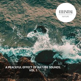 Album cover of A Peaceful Effect of Nature Sounds, Vol. 1