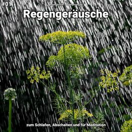 Album cover of #01 Regengeräusche zum Schlafen, Abschalten und für Meditation