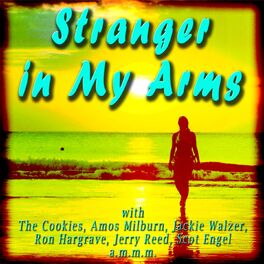 Album cover of Stranger in My Arms