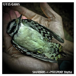 Album cover of Souvenirs of a Misspent Youth