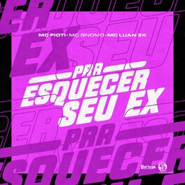 Album cover of Pra Esquecer Seu Ex