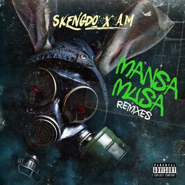 Album cover of Mansa Musa (Remixes)