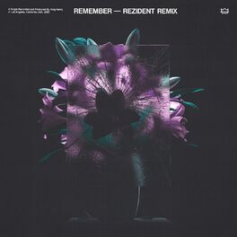 Album cover of Remember (Remix)