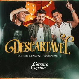 Album cover of Descartável