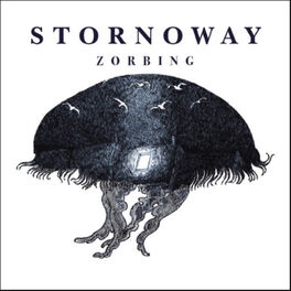 Album cover of Zorbing