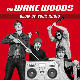Album cover of Blow up Your Radio