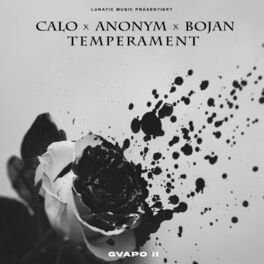 Album cover of Temperament