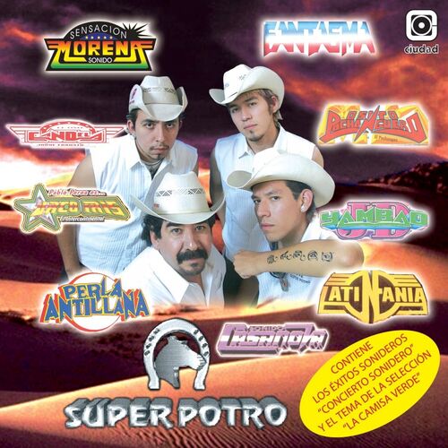 SUPER POTRO - Melodía de Amor: listen with lyrics | Deezer