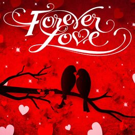 Album cover of Forever Love