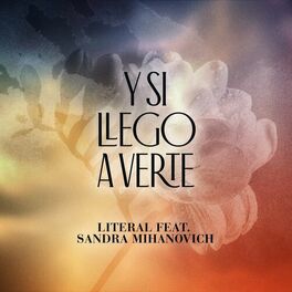 Album cover of Y Si Llego a Verte
