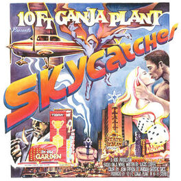 Album cover of Skycatcher