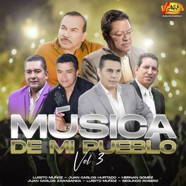 Album cover of Música de mi Pueblo, Vol. 3