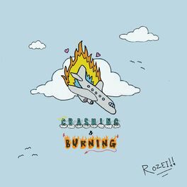 Album cover of Crashing & Burning