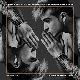 Album cover of Too Good to Be True (feat. Machine Gun Kelly) (Remixes)