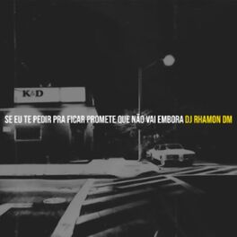 Album cover of Se Eu Te Pedir Pra Ficar Promete Que Não Vai Embora