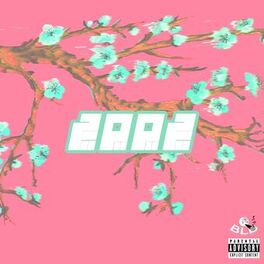 Album cover of 2002 (feat. Sonder & peazful)