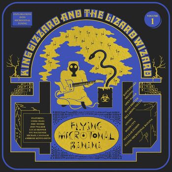 King Gizzard and the Lizard Wizard - Astroturf Lyrics