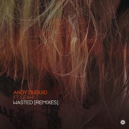 Album cover of Wasted (Remixes)