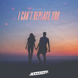Album cover of I Can't Replace You