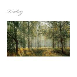 Album cover of Healing